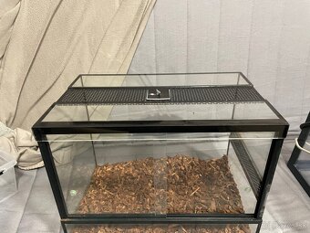 Terarium - 2