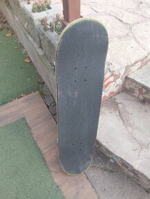 Ski skateboard - 2