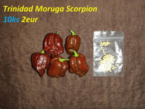 Moruga Scorpion, Ring Of Fire, Satan's Kiss - 2
