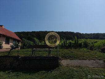 Výhodne- Na predaj vinohrad v Tokajskej oblasti, Viničky. - 2