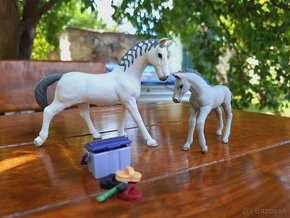 Schleich set - 2