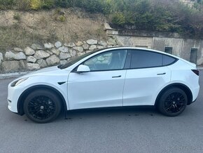 Tesla Model Y, Long Range AWD, DPH - 2