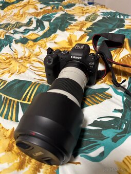 Cannon EOS R6 - 2