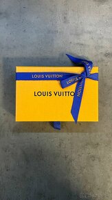 Louis Vuitton - Tyler, the Creator Pocket Organizer hnedy - 2