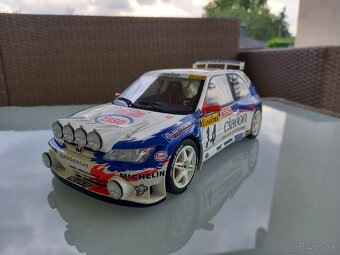 1:18 Rally - 2