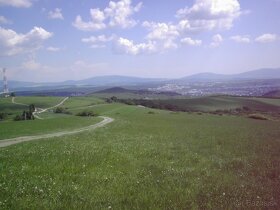 Predám pozemky v Kavečanoch v rozlohe 15 000 m2 - 2