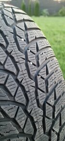 Nokian Nokian WR D4 215/55 R17 98H XL 
 - 2