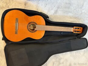 GITARA MARTINEZ MCG-40C - 2