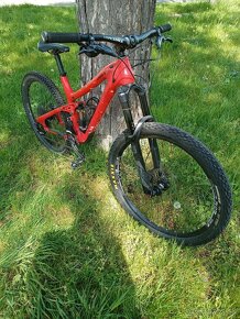 carbon downhill bike NORCO celopero 27,5", ram M - 2