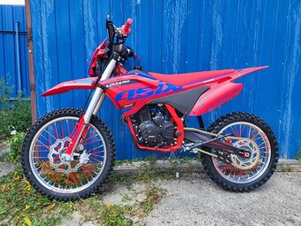 Enduro ASIX Lizzard 300cc - 2