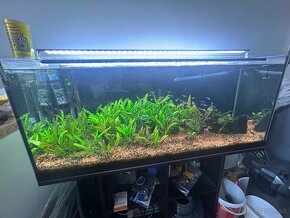 Akvarium240L komplet - 2