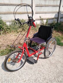 Handbike vozik - 2