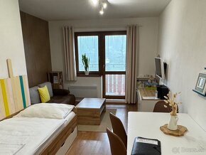 Slnečný apartmán priamo na svahu- Donovaly - 2