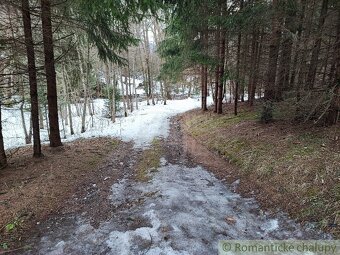 Pozemok pri potoku v lese, Nízke Tatry - 2