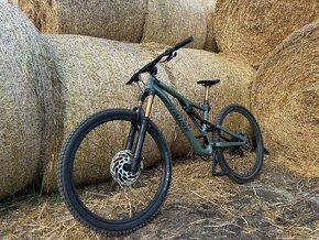 Specialized Stumpjumper Comp Alloy  Kashima upgrade - 2