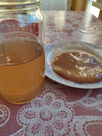 Kombucha - Čajová huba - Scoby + štartovacia báza - 2