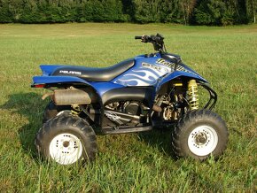 Polaris Trailblazer . - 2