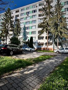 Na predaj priame centrum priestranný  2izb byt s loggiou - 2