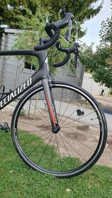 Specialized Tarmac SL6 vel.61 - 2