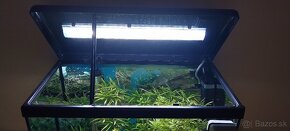 Akvarium aquatlantis - 2