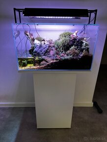 Paludarium - Vivárium -Terarium -Akavarium - 2