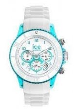 ICE WATCH - 2