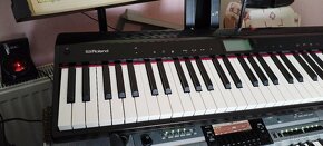 ROLAND GO Piano 61 - 2