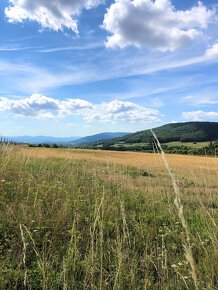 Stavebný pozemok 4949 m2 v obci Cetuna na predaj - 2