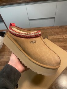 Topánky UGG TAZZ chestnut - 2