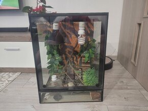 Terarium - 2