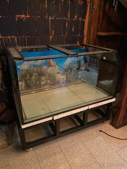 Terarium / Aquarium - 2