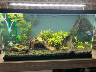 Predám akvarium - 2