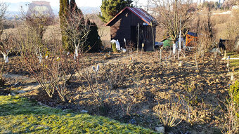 PREDAJ záhrada s chatkou, Trenčín, Záhr. osada Pod Sekerou - 2