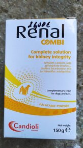 Renal - 2