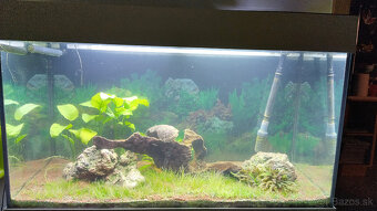 Predam akvarium Juwel Rio 125 - 2