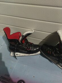 Predám korčule Bauer Vapor X500 SR - 2