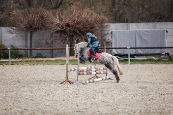 Predam sportovu pony S- do rodiny, hobby - 2