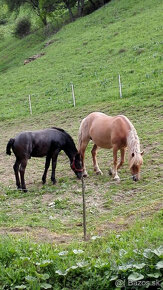 ⭐Chata Alpínka v Zázrivej Bielej⭐ - 2