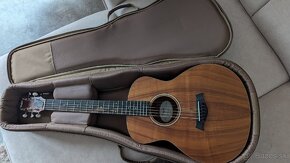 Taylor GSmini KOA - 2