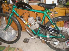 bicykel s pomocnym motorom - 2