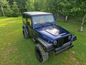 Jeep Wrangler TJ 2,5 Hardtop - 2