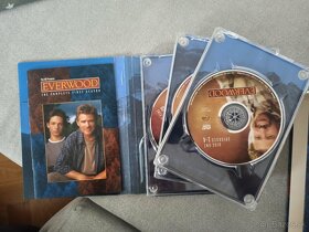 Dvd everwood - 2