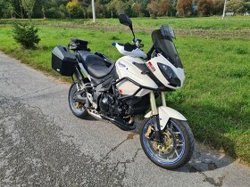 predam Triumph tiger 1050 - 2