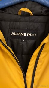 Alpine pro - 2