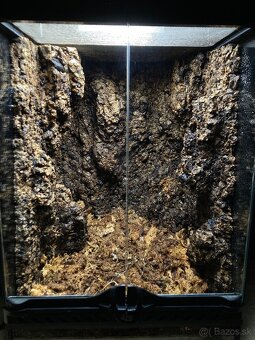 Terarium ExoTerra 30x30x45 + Compact Top Canopy 30 - 2