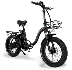 E bike DLY 1000 - 2