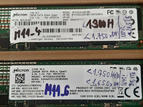 SSD 256GB MICRON M1100 M.2 SATA 2280 80mm - 2