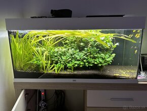 P: Juwel Rio 180 + Tetra 1200 Plus + CO2 - 2