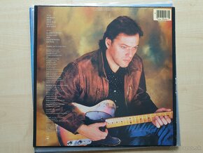 David Gilmour LPs (Pink Floyd) - 2