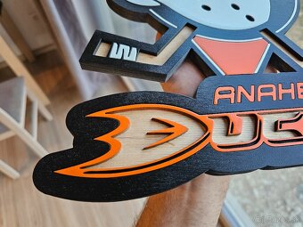 Anaheim DUCKS 3D drevený obraz - 2